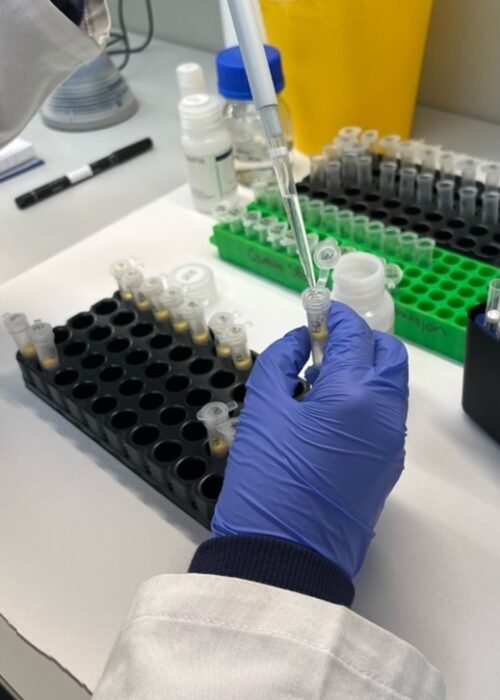 Forekomst-av-virus-i-tarm.jpg